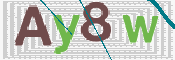 CAPTCHA (Şahıs Denetim Kodu) Resmi