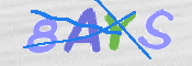 CAPTCHA (Şahıs Denetim Kodu) Resmi