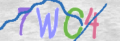CAPTCHA (Şahıs Denetim Kodu) Resmi