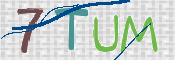 CAPTCHA (Şahıs Denetim Kodu) Resmi