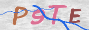 CAPTCHA (Şahıs Denetim Kodu) Resmi